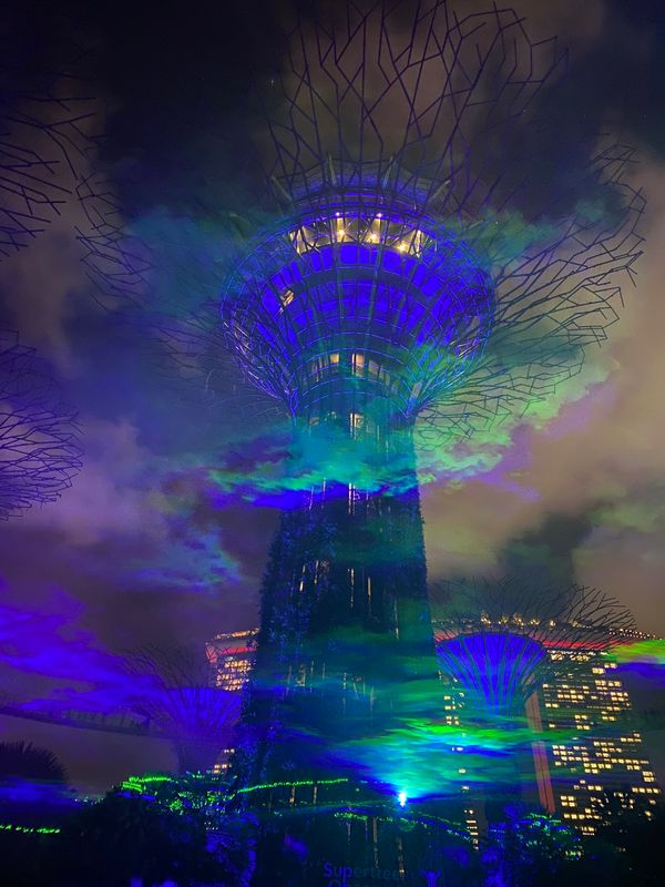 シンガポール・シンガポール「シンガポール旅行」の写真