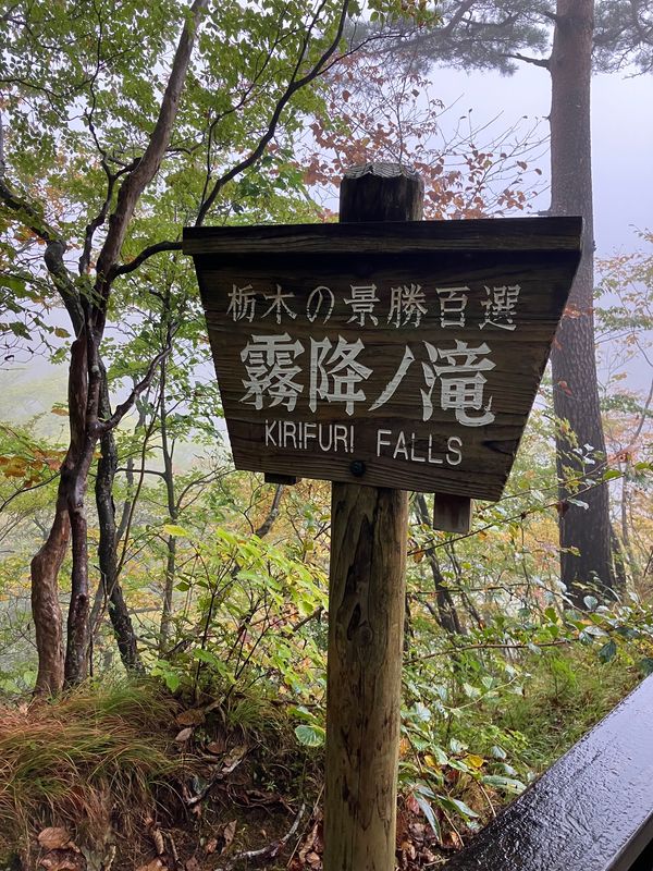 日本・栃木県日光市「日光🚌バスツアー」の写真