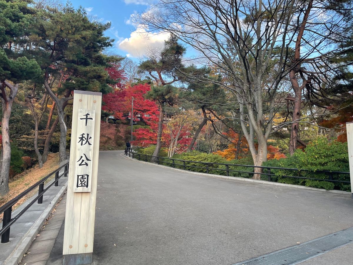 秋田市内に戻って、千秋公園へ。紅葉も見頃でした。ここは一昨日まで熊がいて閉...
