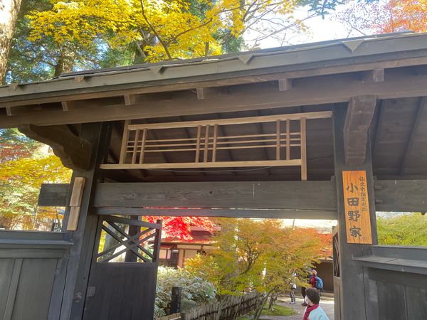 日本・角館「2025年・秋田・八郎潟・角館」の写真：角館の武家屋敷。小野田家