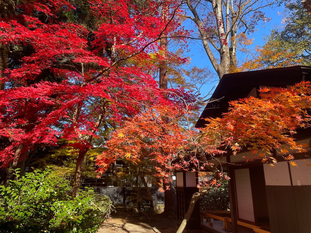 角館の武家屋敷。小野田家