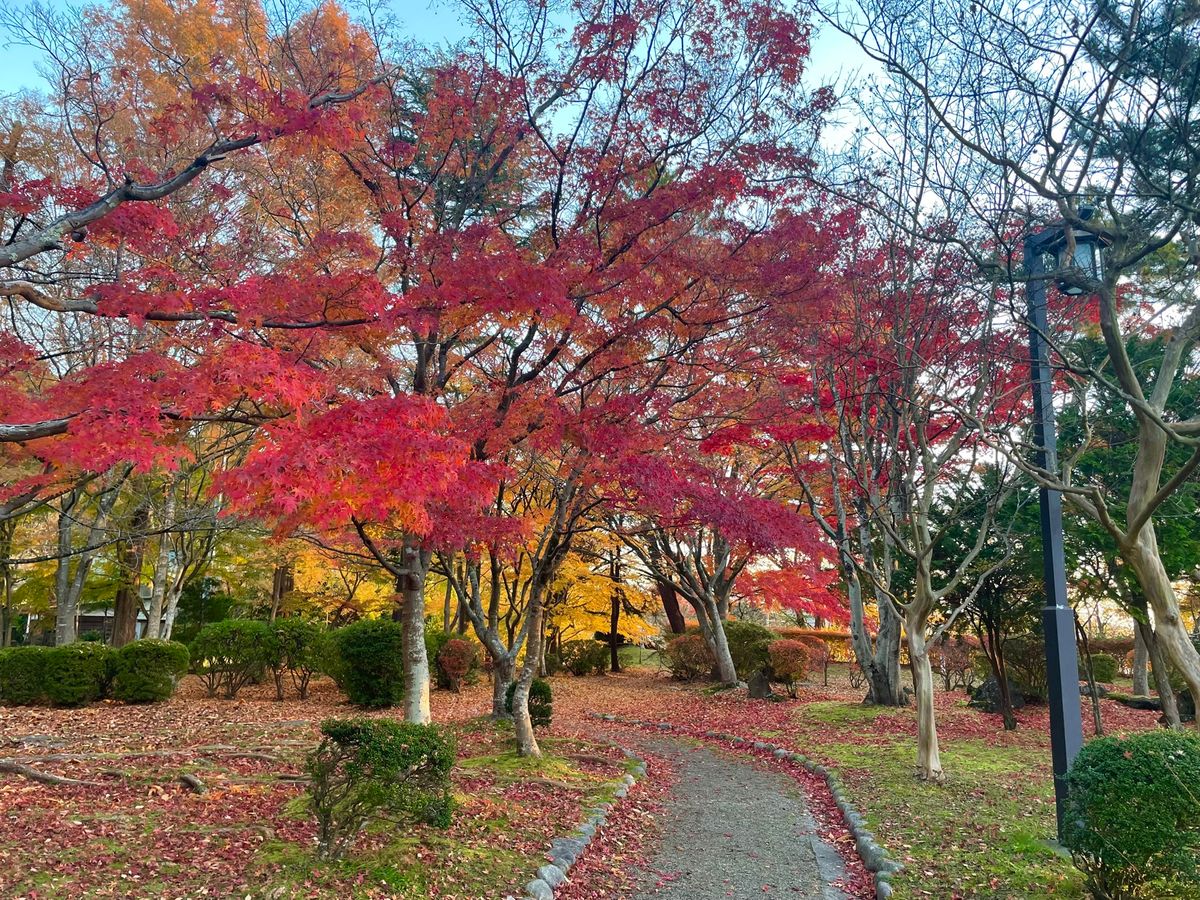 翌日も早朝に千秋公園を散策。