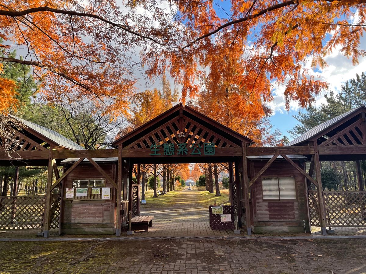朝食後は再び八郎潟へ。最初は大潟村の生態系公園で探鳥。アカゲラやシジュウカ...