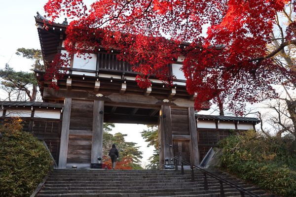 日本・角館「2025年・秋田・八郎潟・角館」の写真：秋田市内に戻って、千秋公園へ。紅葉も見頃...