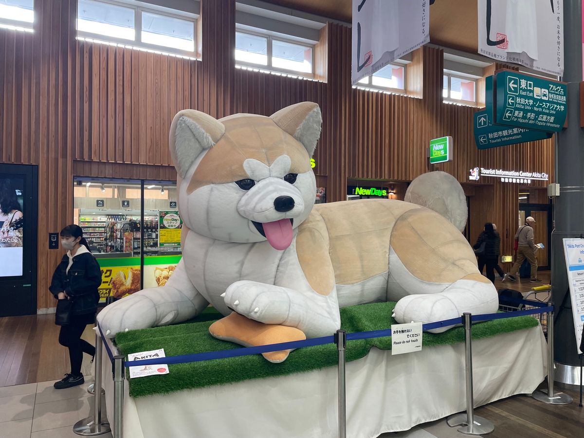 東京から新幹線で約4時間。目的地の秋田駅に着きました。駅では秋田犬とナマハ...
