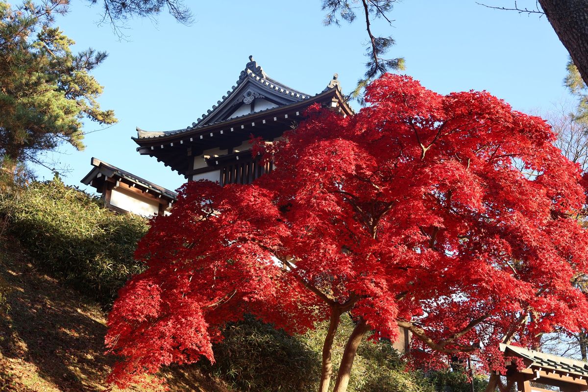 翌日も早朝に千秋公園を散策。