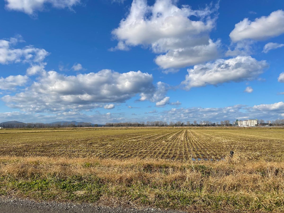 ここ八郎潟は日本一広い干拓地。山手線四つ分の面積があるそうです。ここで目的...