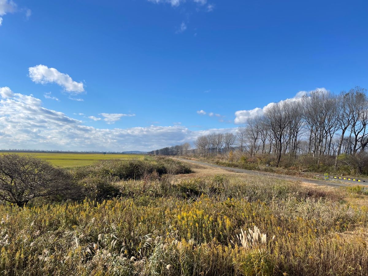 ここ八郎潟は日本一広い干拓地。山手線四つ分の面積があるそうです。ここで目的...