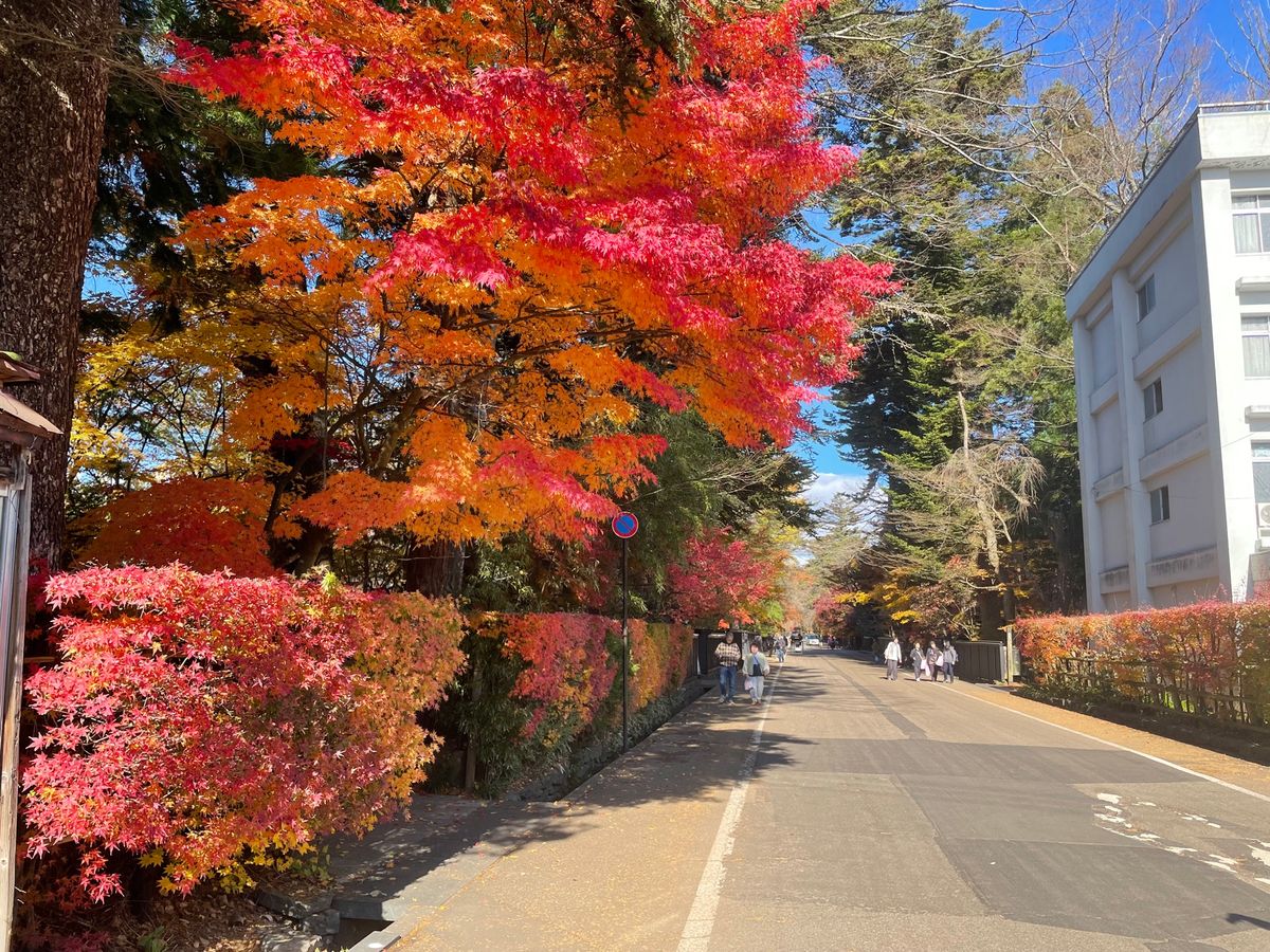 角館の武家屋敷。小野田家