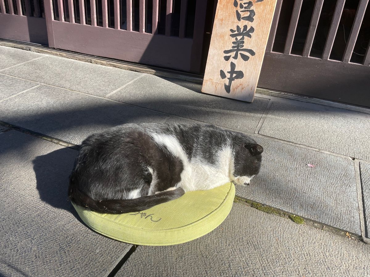お昼は稲庭うどん。築200年以上という古民家を改装したお店でした。お店の前...
