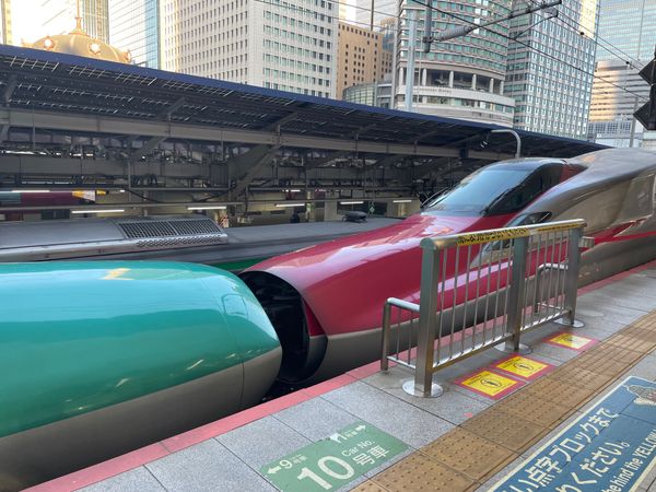 日本・角館「2025年・秋田・八郎潟・角館」の写真：今回の旅行はほぼ40年ぶりとなる秋田県へ...