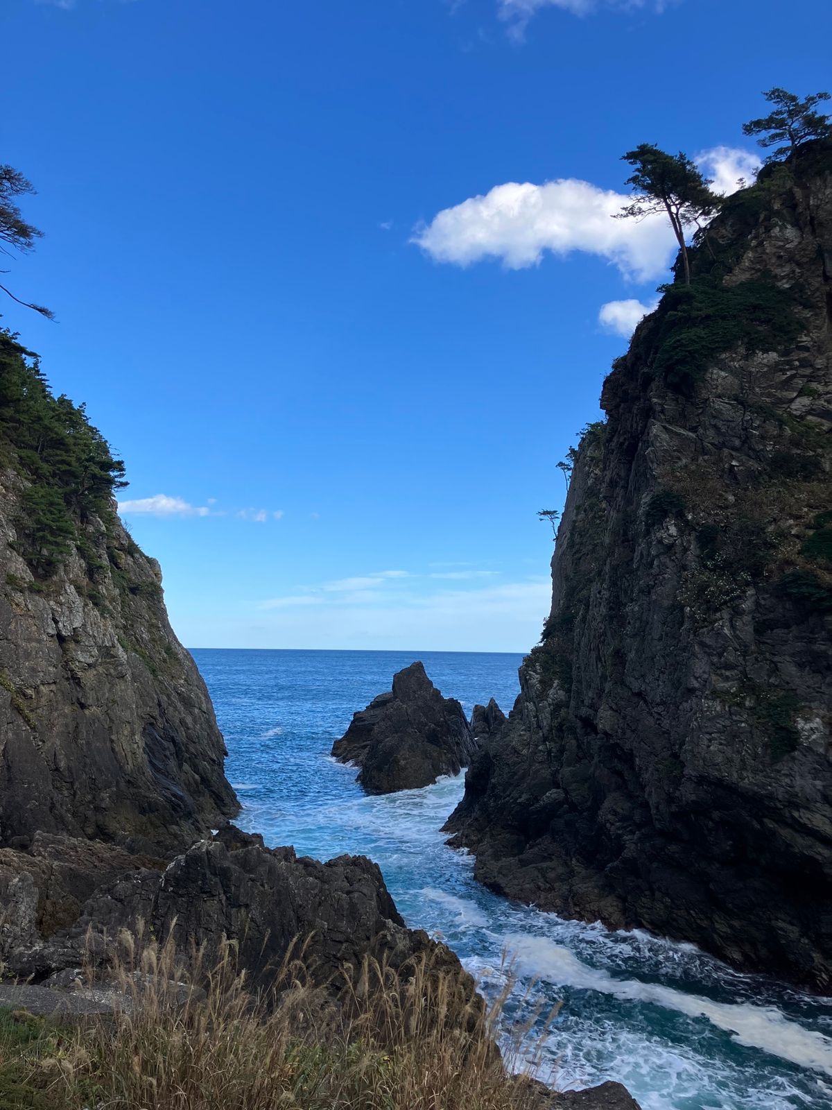 【撮影場所】
岩手県 田野畑村 北山崎

【住所】 
岩手県下閉伊郡田野畑...