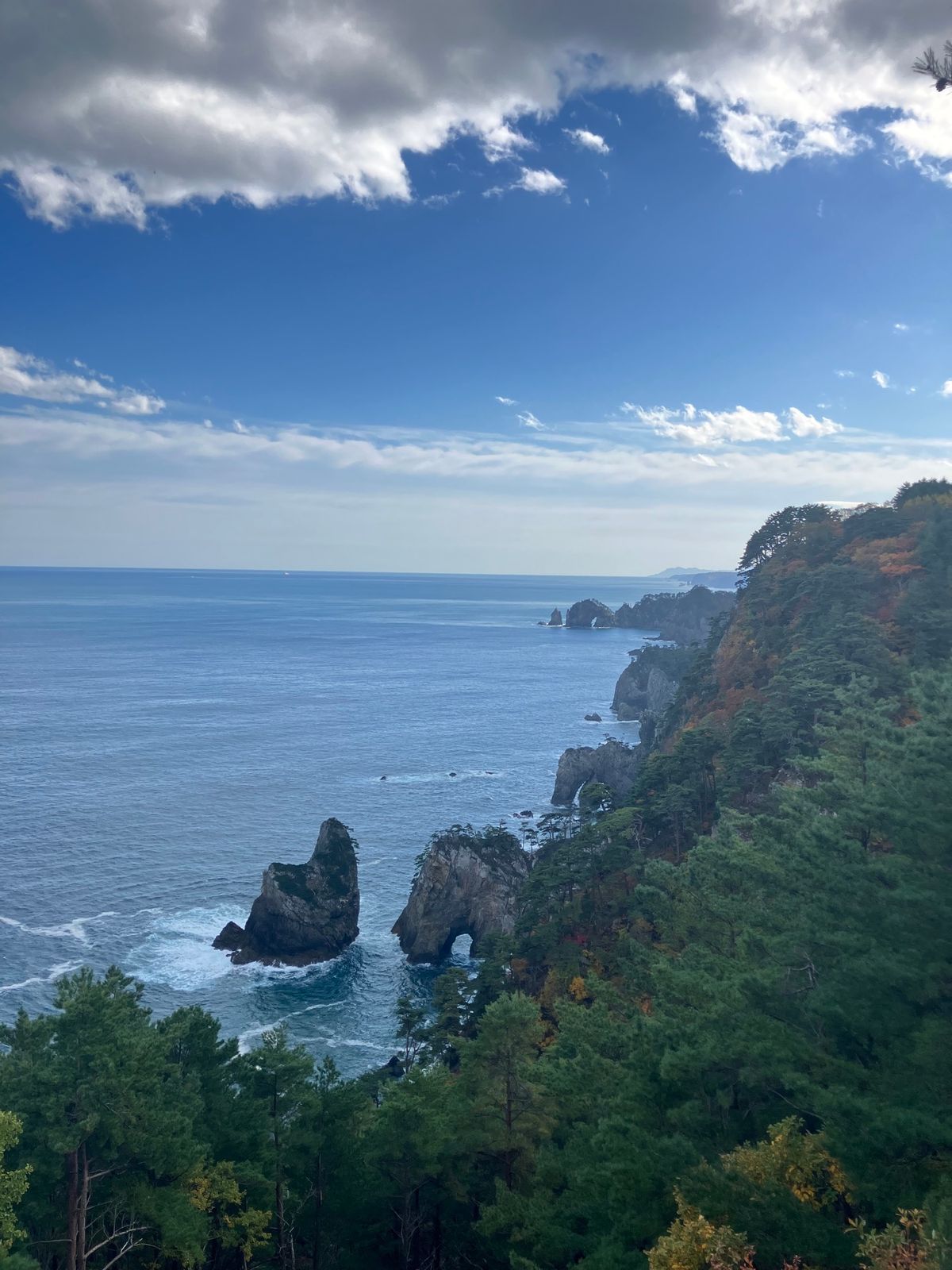 【撮影場所】
岩手県 田野畑村 北山崎

【住所】 
岩手県下閉伊郡田野畑...
