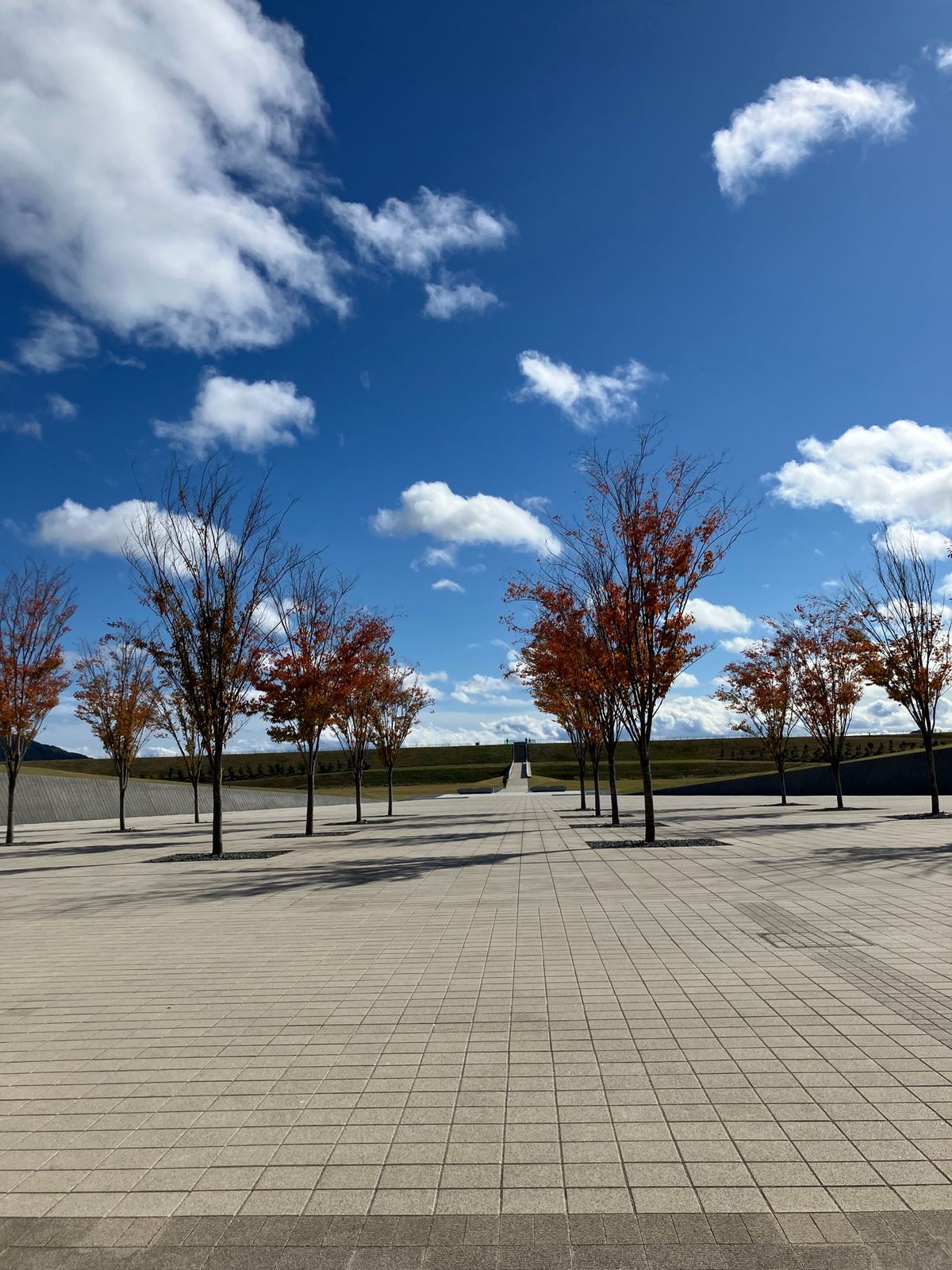 【撮影場所】
岩手県陸前高田市 東日本大震災津波伝承館
博物館/

【住所...