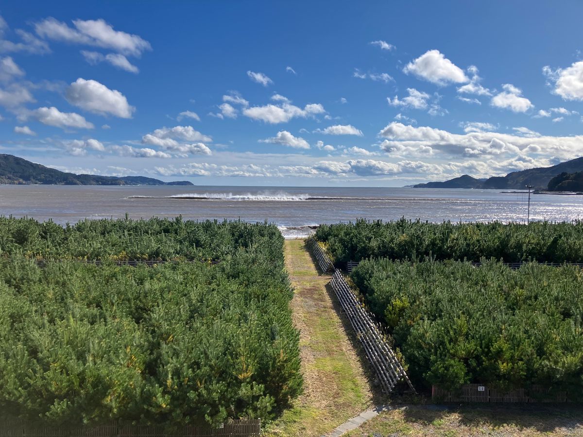 【撮影場所】
岩手県陸前高田市 東日本大震災津波伝承館
博物館/

【住所...