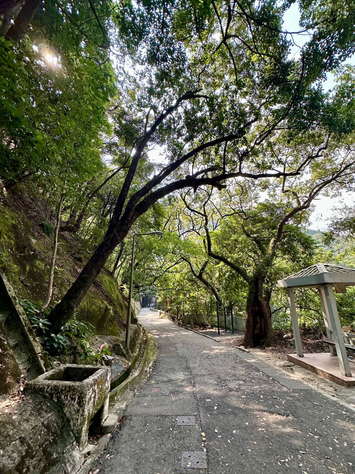 実は香港は自然が豊かです。

跑馬地から程近い寶雲道は、香港を見下ろす事が...