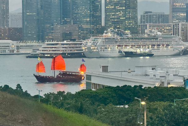 香港・尖沙咀「NRT ✈︎ HKG ✈︎ NRT」の写真：IFCからの九龍の景色と本物のマンモス