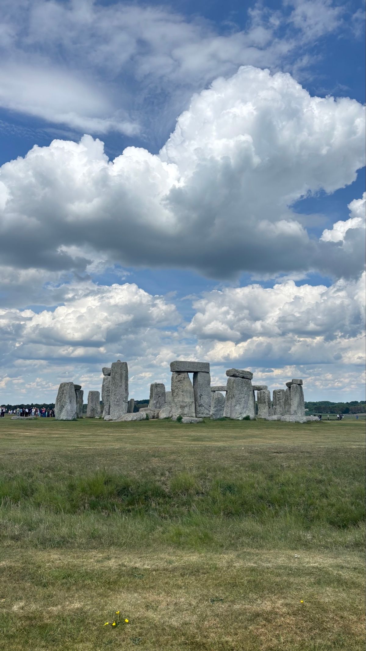 レ・ミゼラブルの劇、ティムバートン展、美味しいパスタ屋さん、ストーンヘンジ
