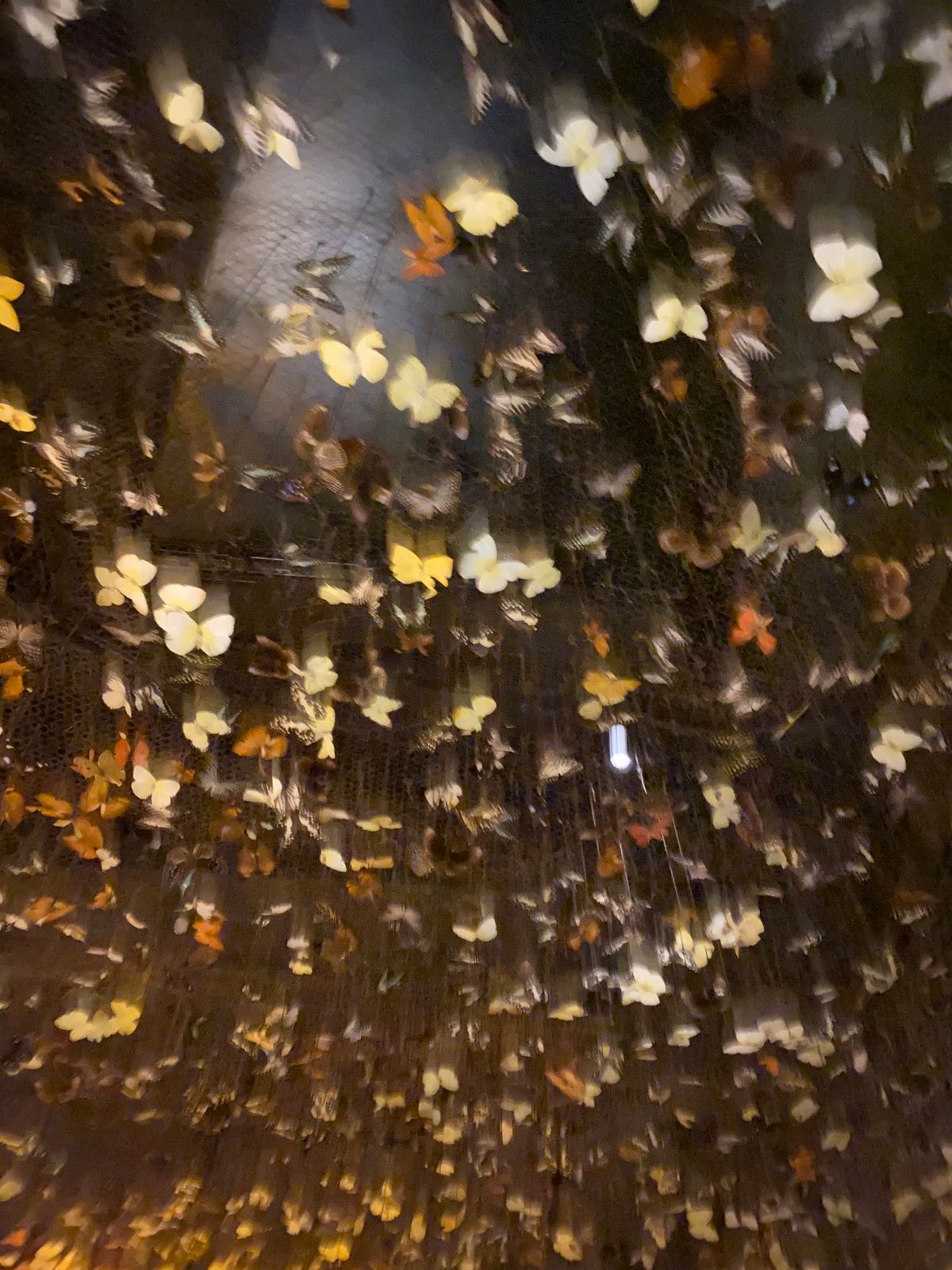 Iron fairies に行きました、以前は銀座にもあったのに🍸