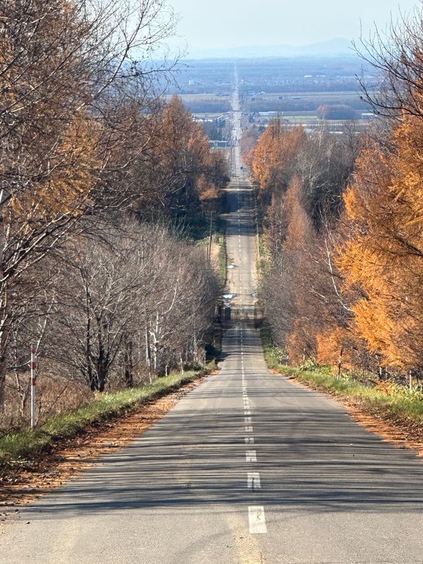 日本・北海道「北見知床網走旅行」の写真：斜里から網走
天に続く道、道の駅 流氷街...