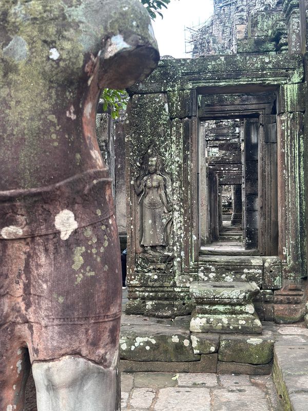 カンボジア・シェムリアップ「カンボジア　2025.11」の写真