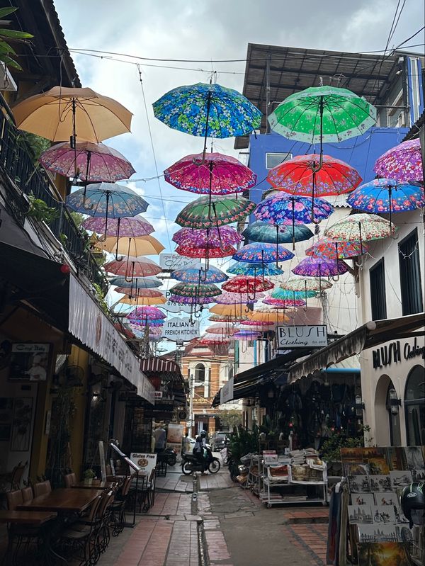 カンボジア・シェムリアップ「カンボジア　2025.11」の写真