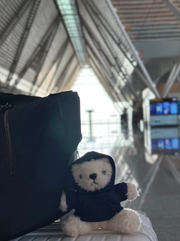 カンボジア・シェムリアップ「カンボジア　2025.11」の写真