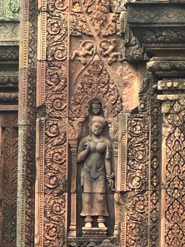 カンボジア・シェムリアップ「カンボジア　2025.11」の写真