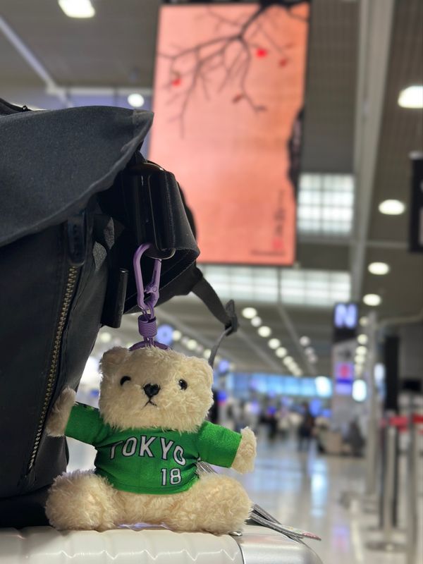 カンボジア・シェムリアップ「カンボジア　2025.11」の写真