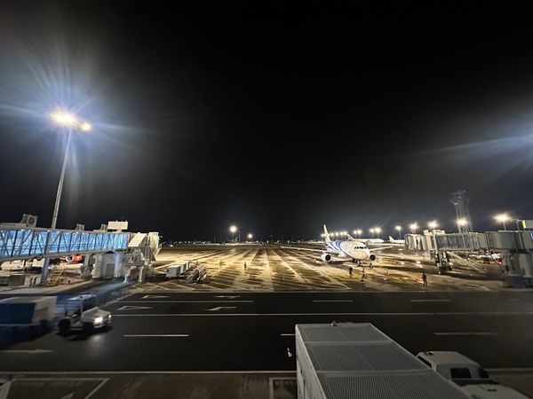 カンボジア・シェムリアップ「カンボジア　2025.11」の写真