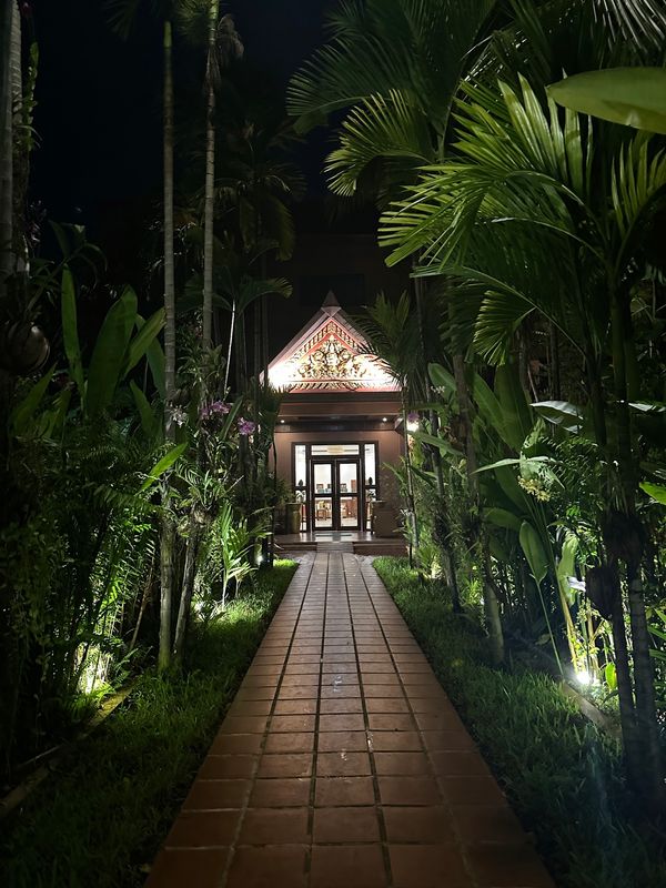 カンボジア・シェムリアップ「カンボジア　2025.11」の写真