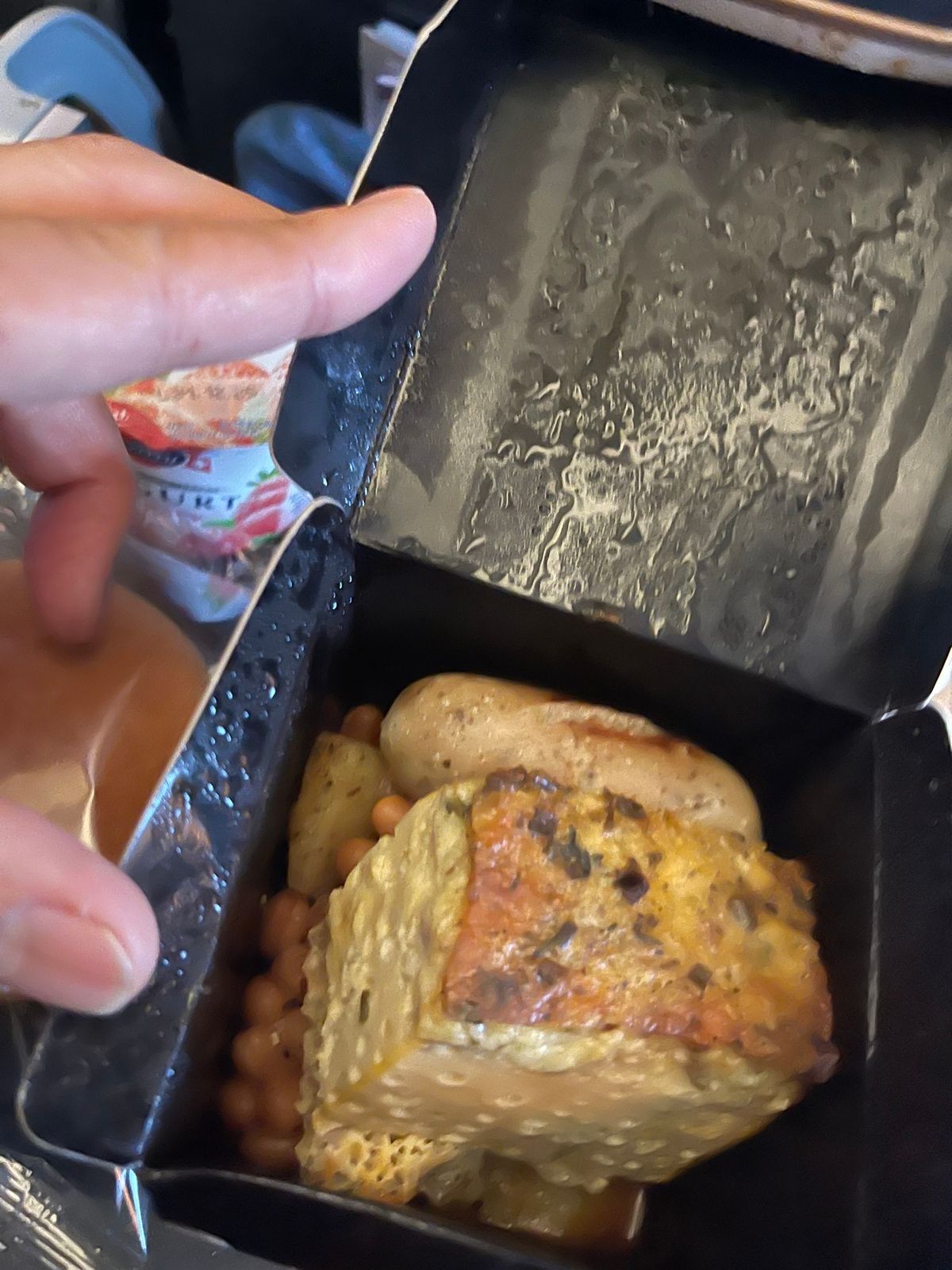 飛行機遅れてチャンギでギリのトランジット
チャンギ発の機内食は美味い😋
デ...