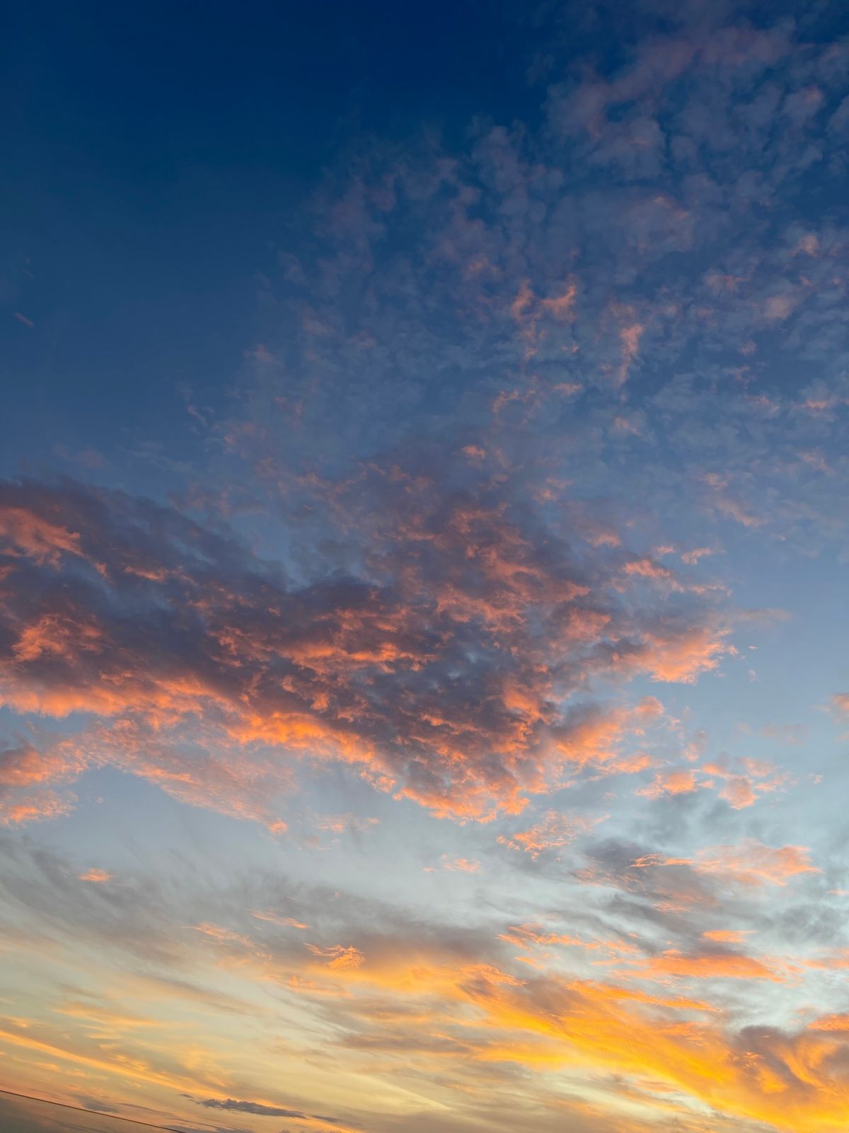 最終日の夜はメインダイニングのオリベラ
夕陽が本当に美しかった🥹