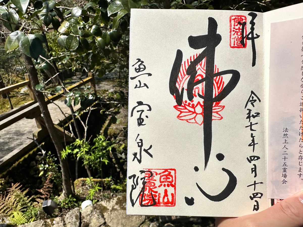 大好きな京都は☀️