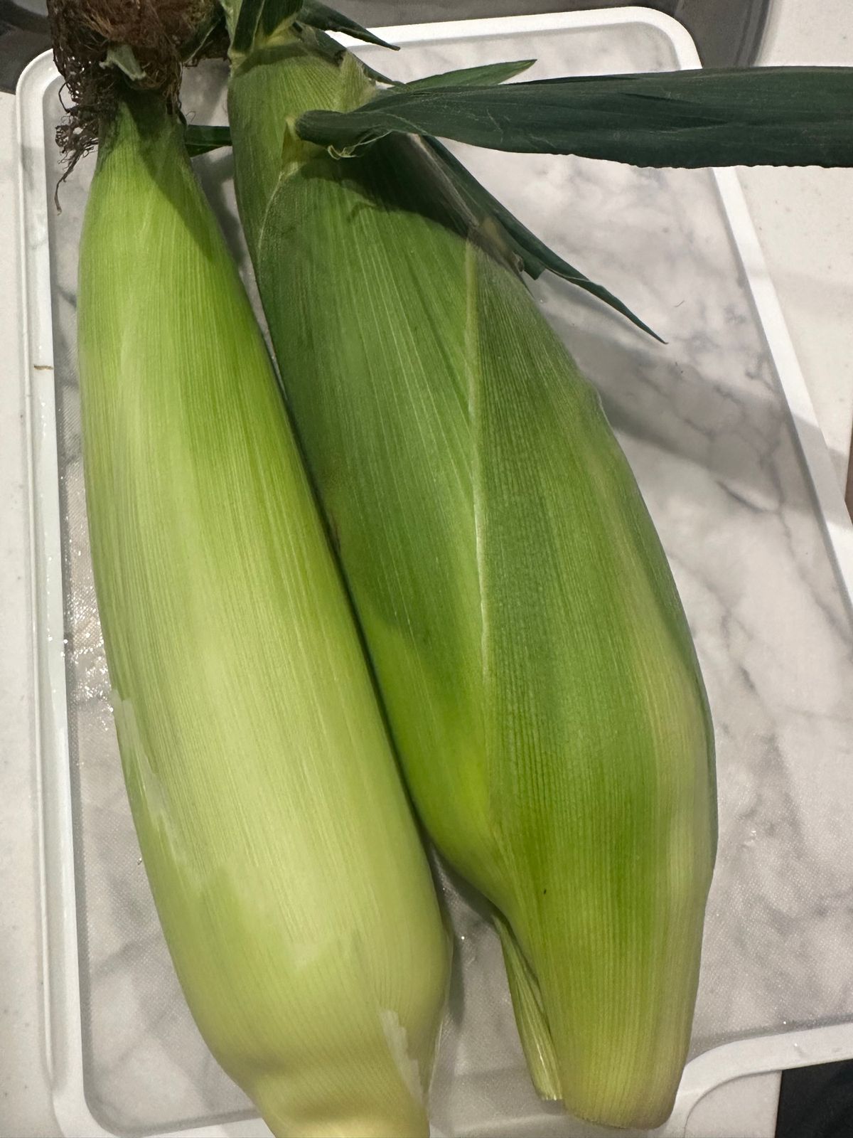 水信玄・生信玄餅
とうもろこし🌽
山梨の美味しいもの😋