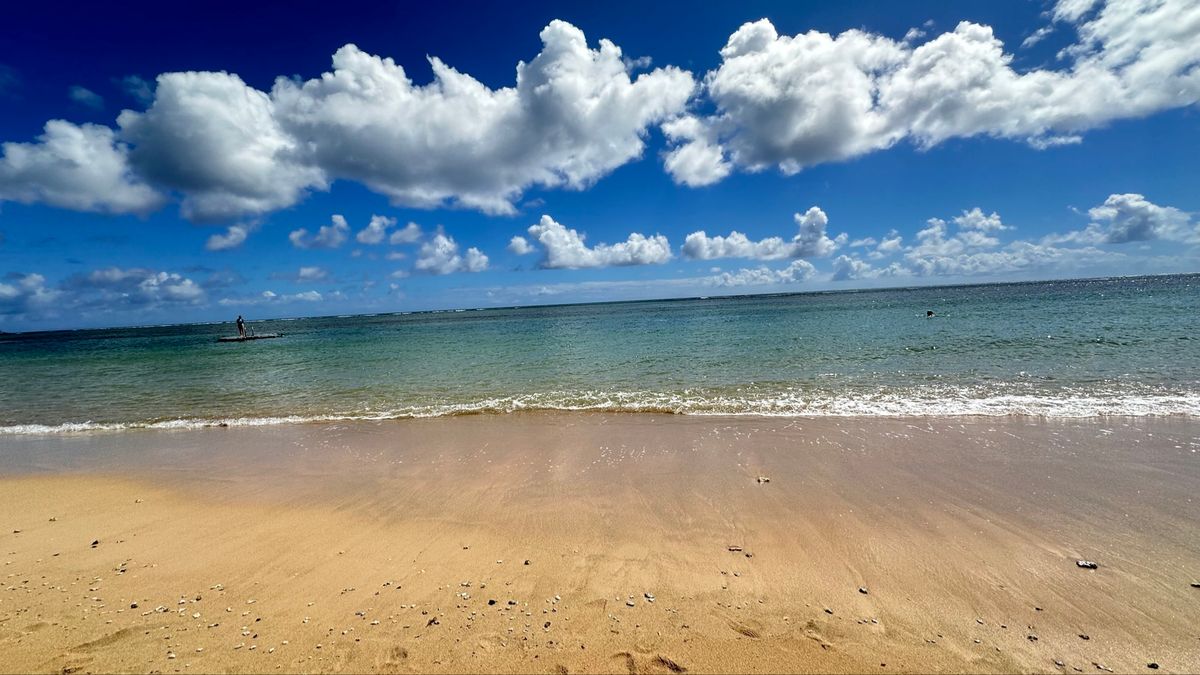 雨季ならではの🌈虹
e bike楽しかった🫶
ハプニングも多々あったけどま...