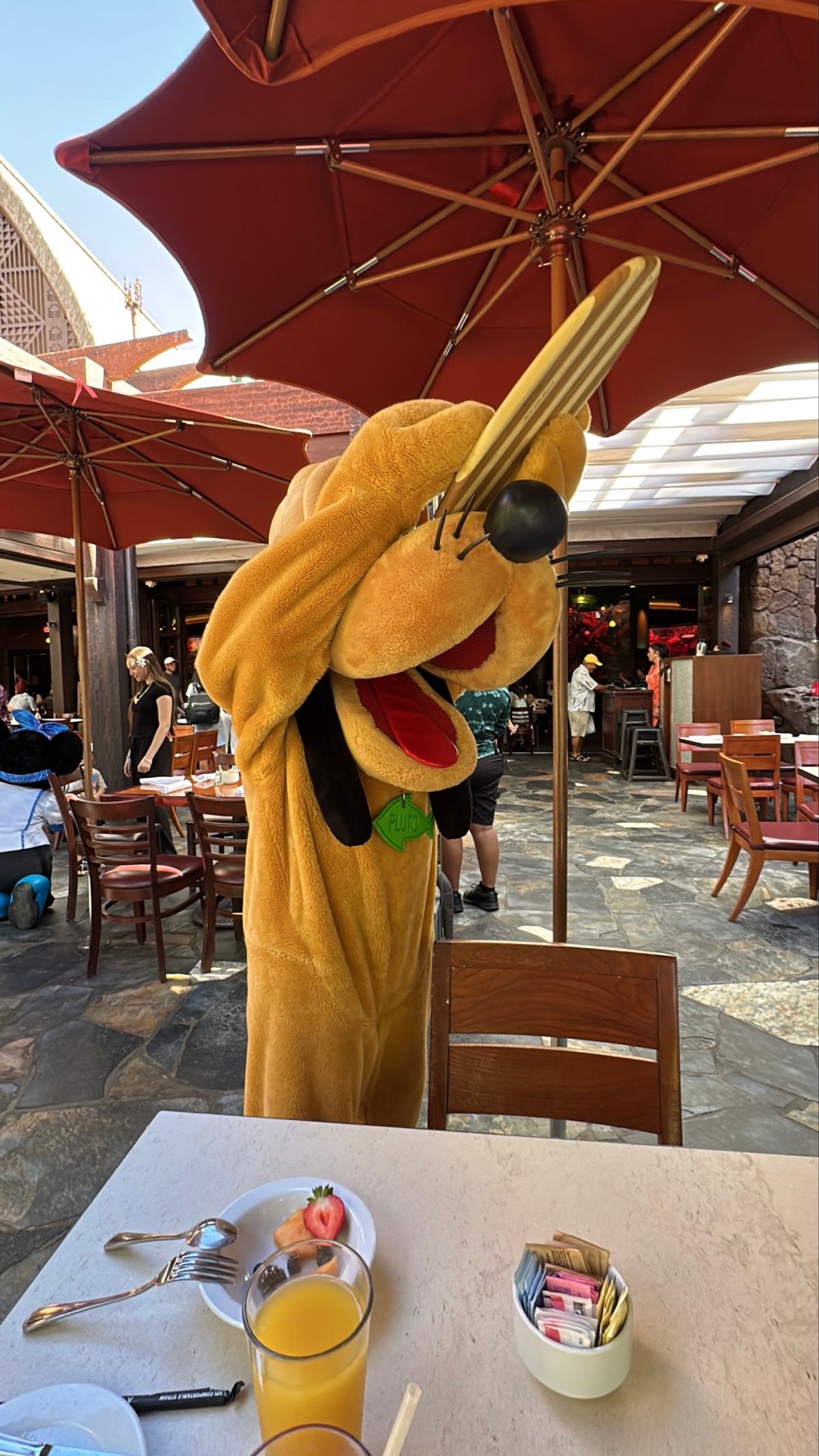 もうまた行きたいアウラニ🩷
ダッフィー に会えなかったから会いたい🫶