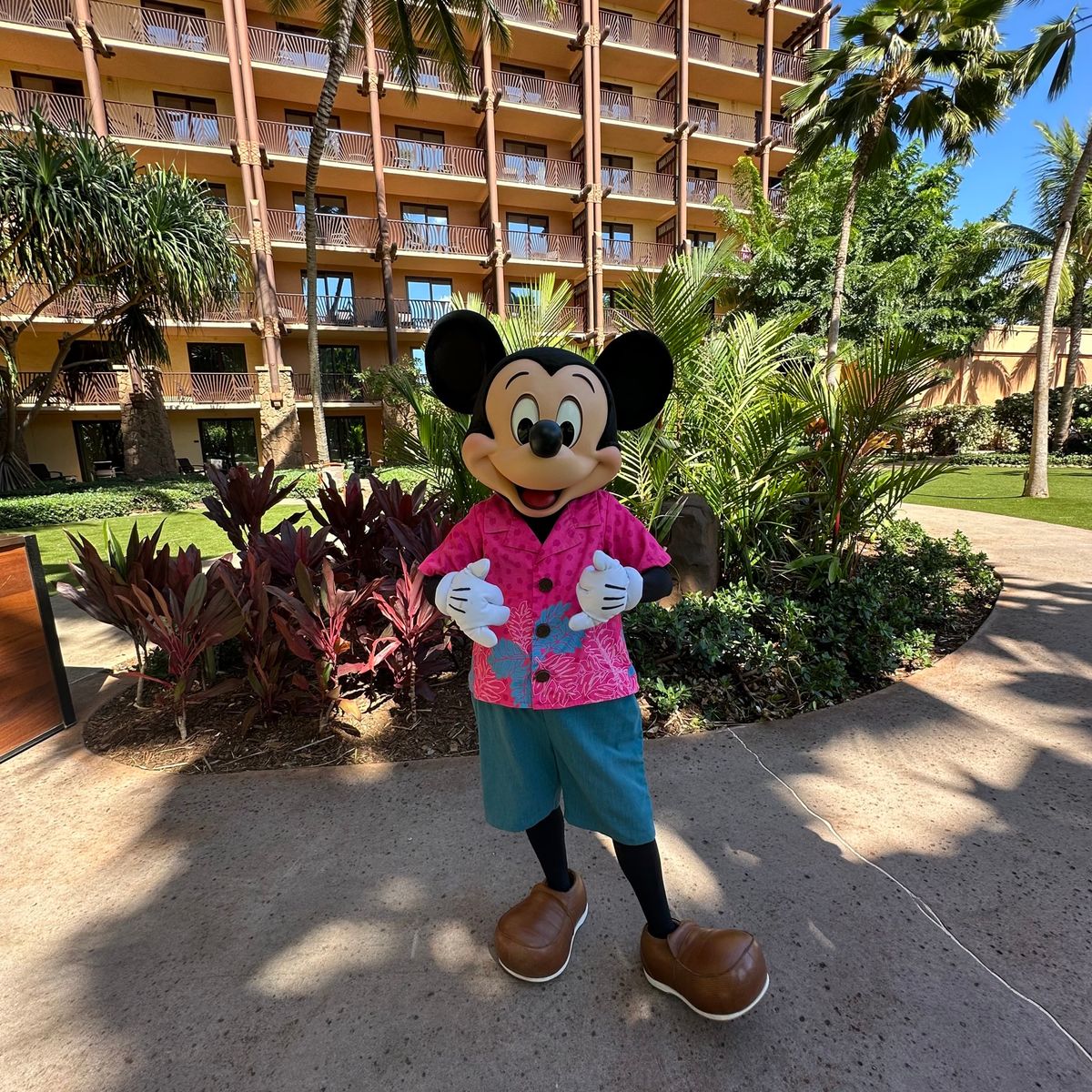 もうまた行きたいアウラニ🩷
ダッフィー に会えなかったから会いたい🫶