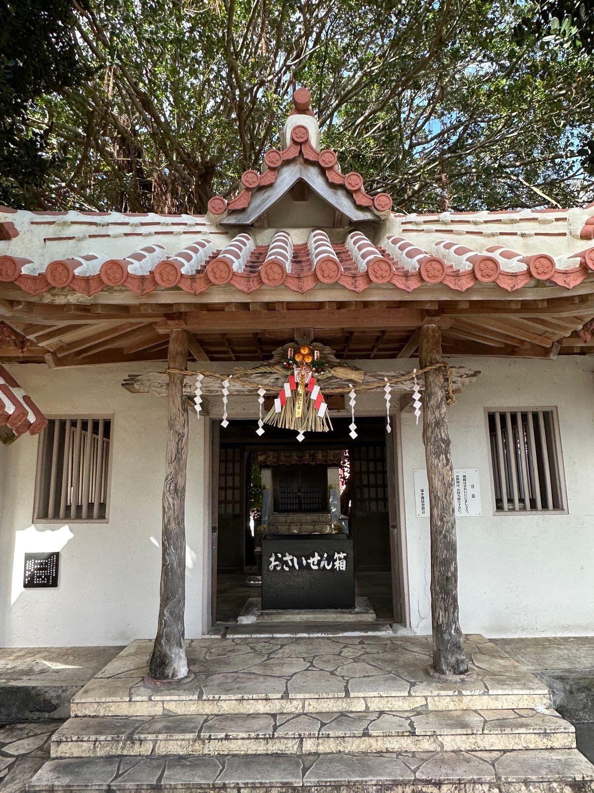 気温17℃は寒いらしい
桜が咲いていました😃