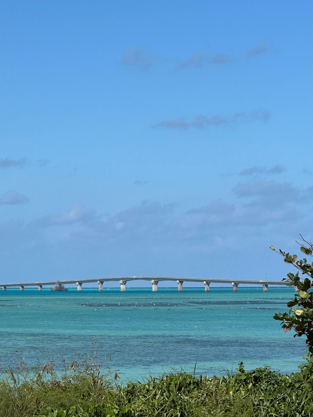 雪塩ミュージアムで雪塩サイダーをいただく