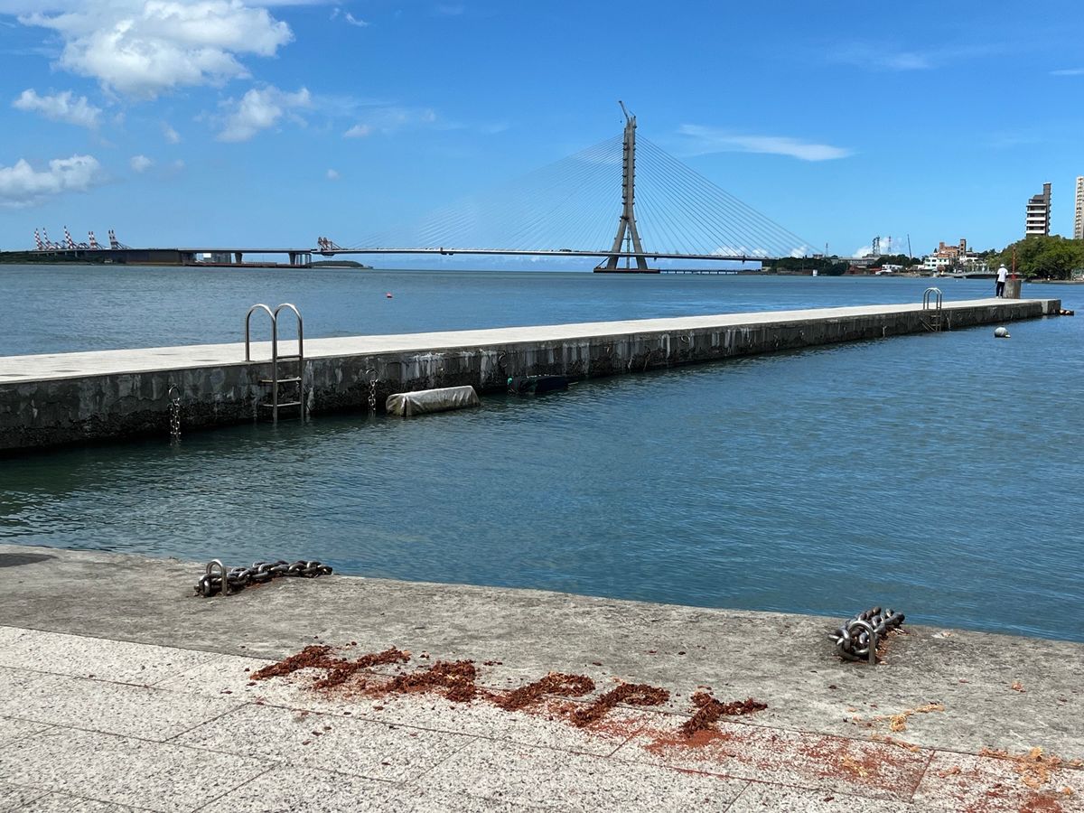 淡水は2回目
前回は曇ってて残念でしたが、今回は晴れ☀️
落ち葉で作った"...