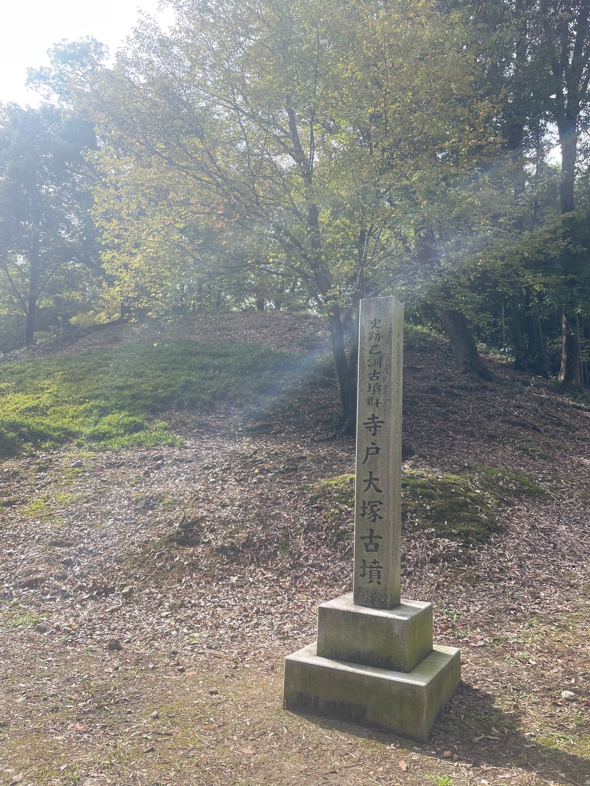 竹林公園
竹に囲まれた道がかなり長く続いてて綺麗
