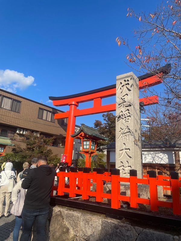 日本・京都府「京都旅行」の写真：伏見稲荷大社
テレビとかでよく見る千本鳥...