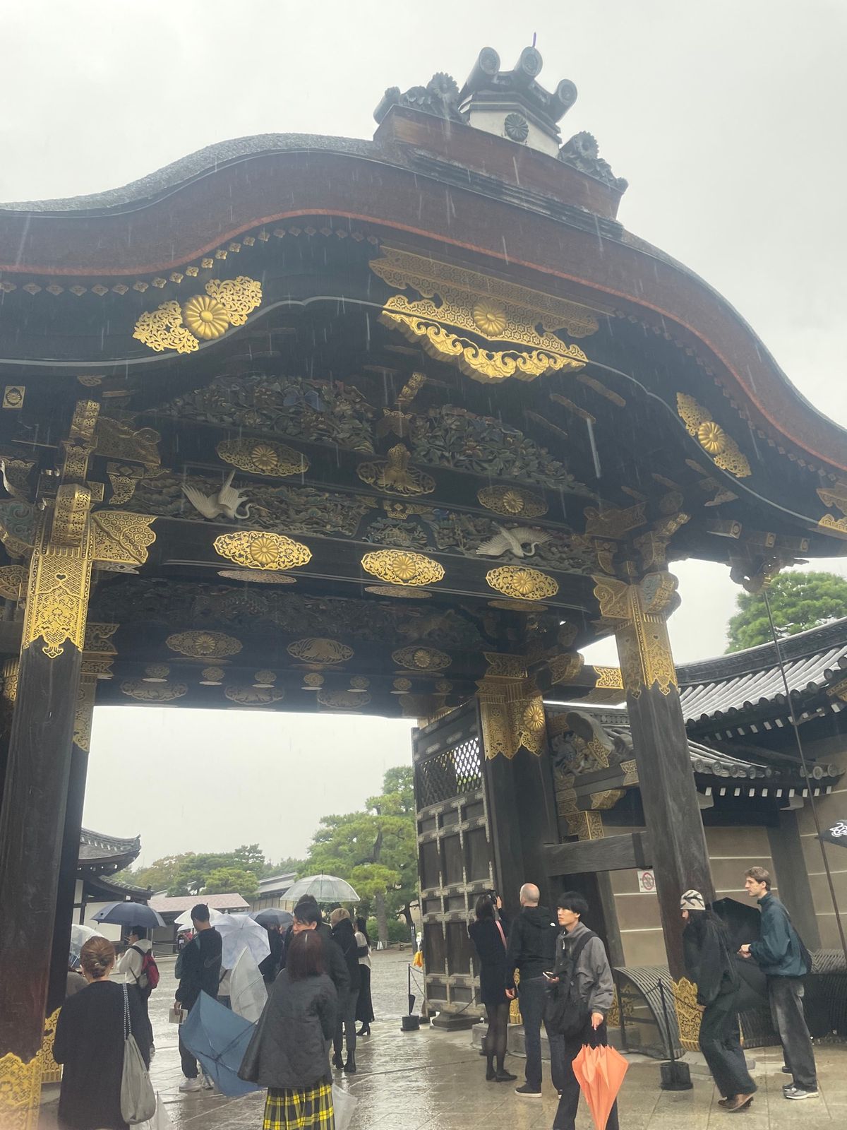 二条城
隅々まで豪華な装飾に圧倒
本丸に入らなかったのが悔しみ