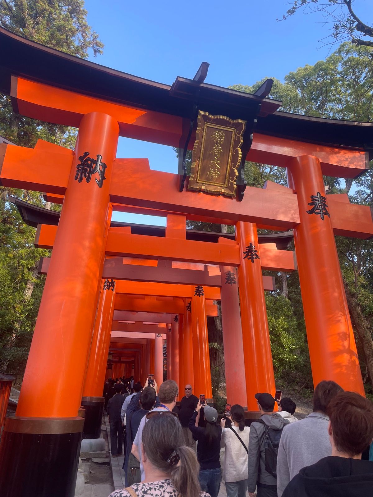 伏見稲荷大社
テレビとかでよく見る千本鳥居！
たくさんの人と長そうな道のり...