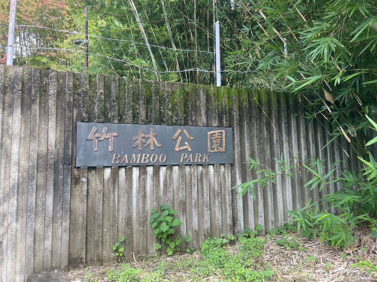竹林公園
竹に囲まれた道がかなり長く続いてて綺麗