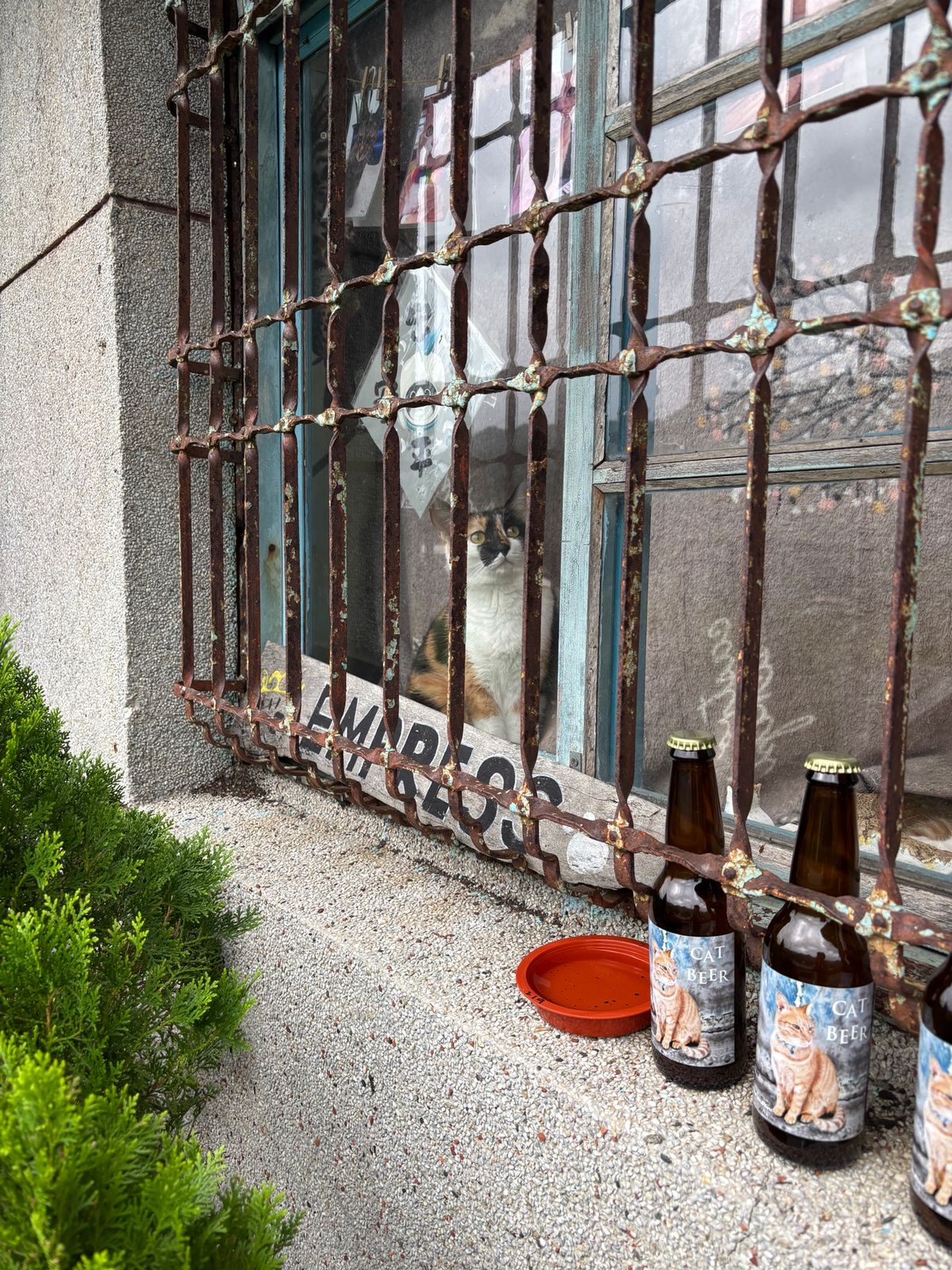 楽しみにしていた猴硐へ。十分から平渓線で猴硐へ向かうつもりでしたが数ヶ月運...