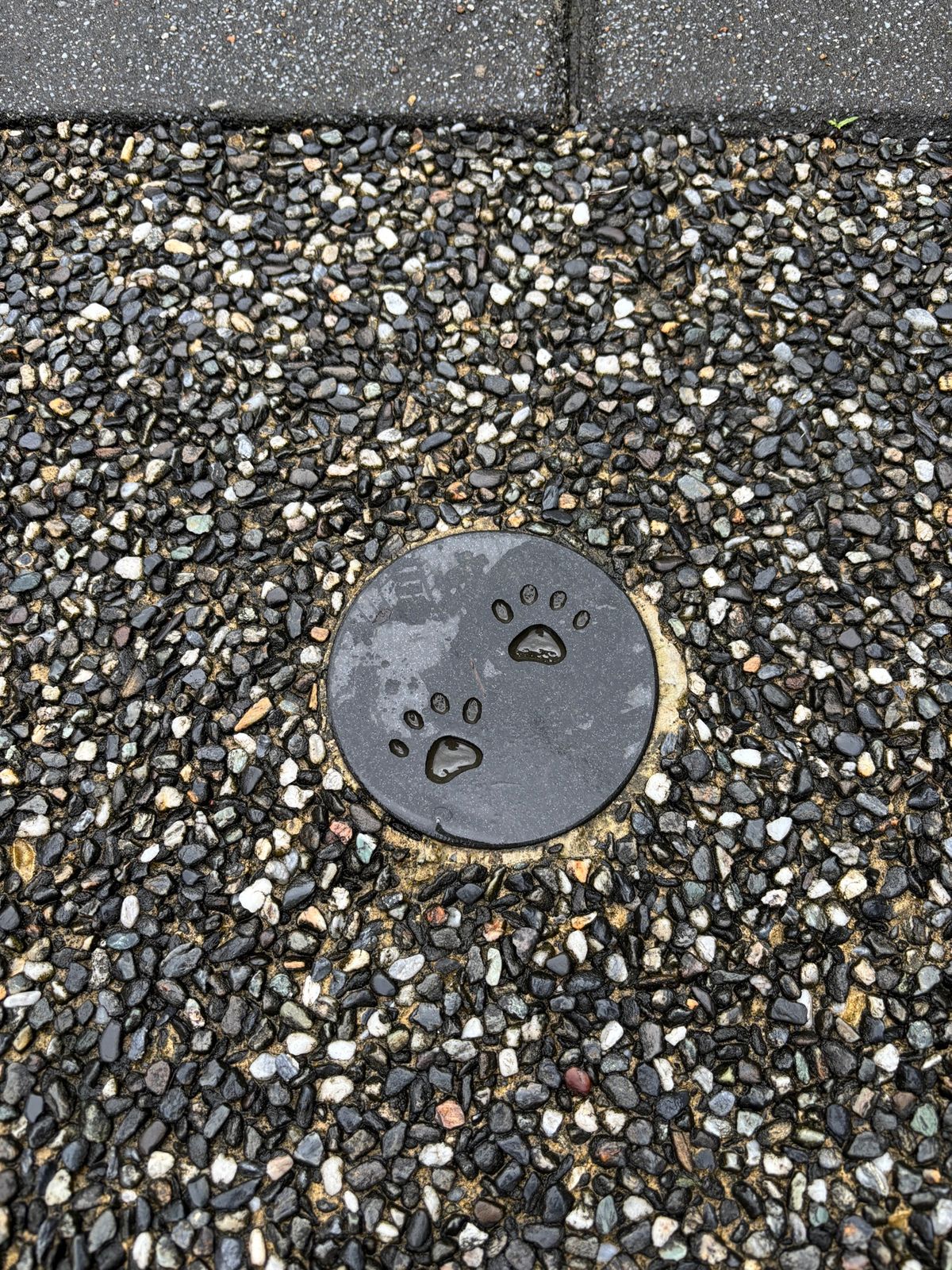 楽しみにしていた猴硐へ。十分から平渓線で猴硐へ向かうつもりでしたが数ヶ月運...