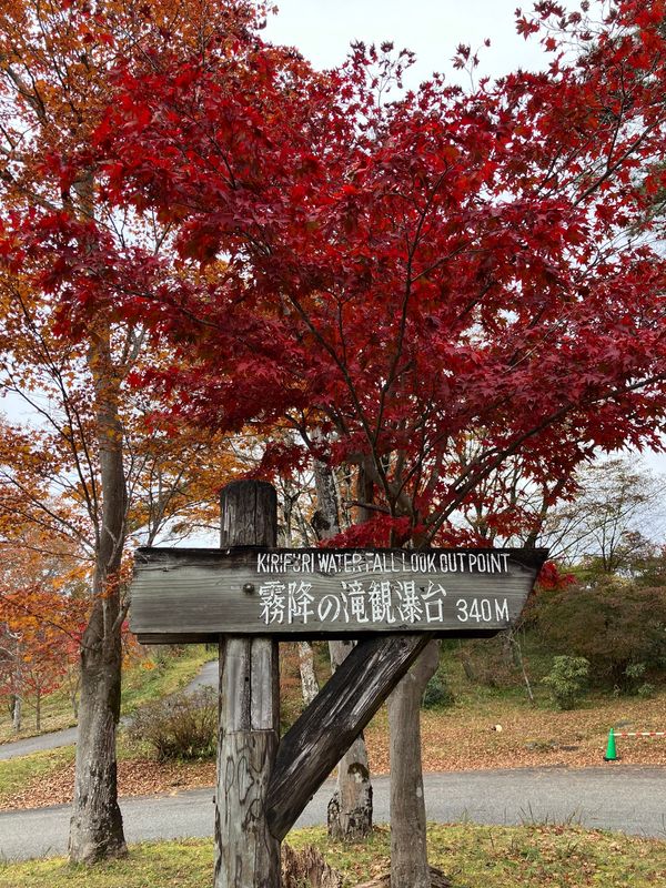 日本・栃木県日光市鬼怒川「家族旅行🚗」の写真
