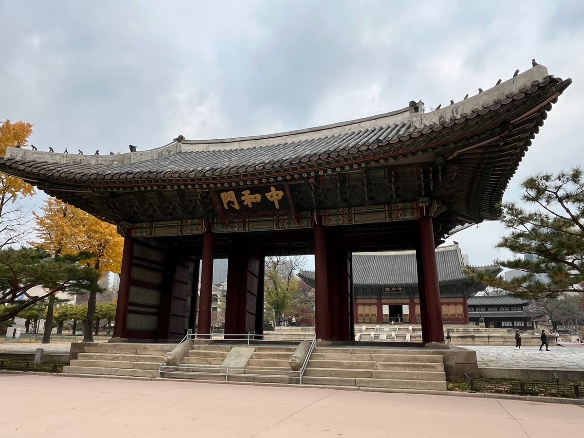 徳寿宮の紅葉と市庁のクリスマスツリー